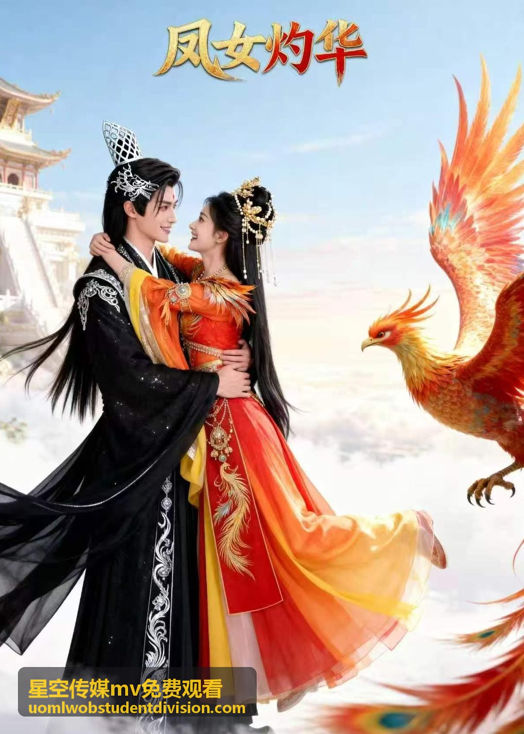 星空傳媒MV免費觀看的MV片單整理畫面