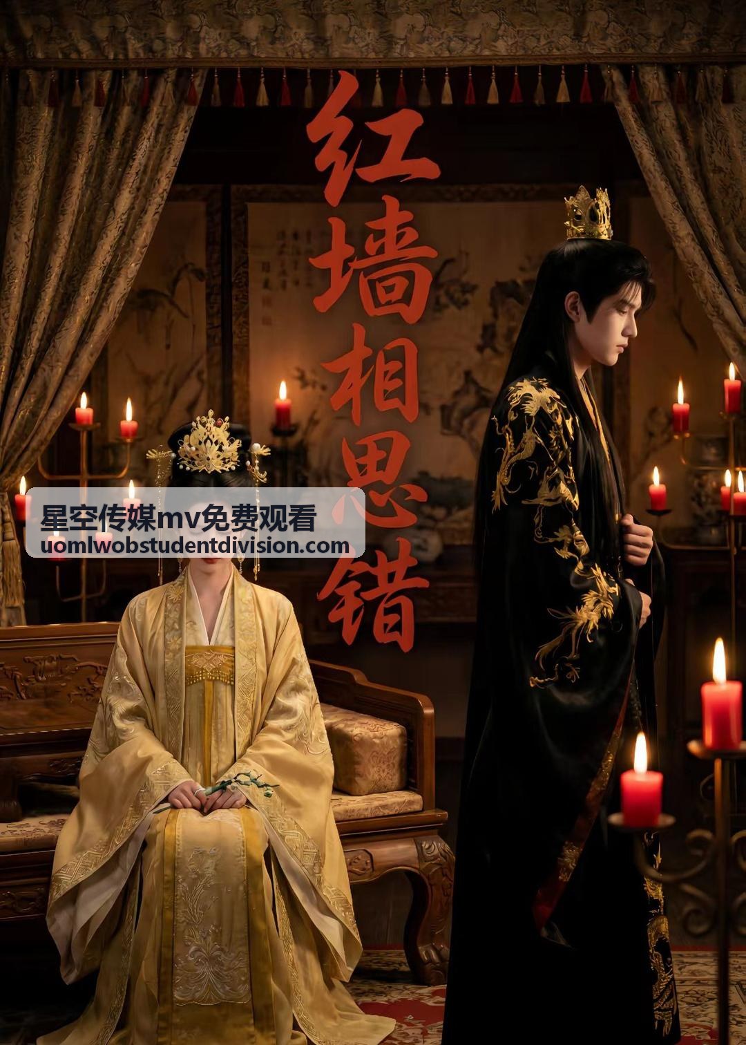 星空傳媒MV免費觀看：電視與投影投放畫質取捨封面
